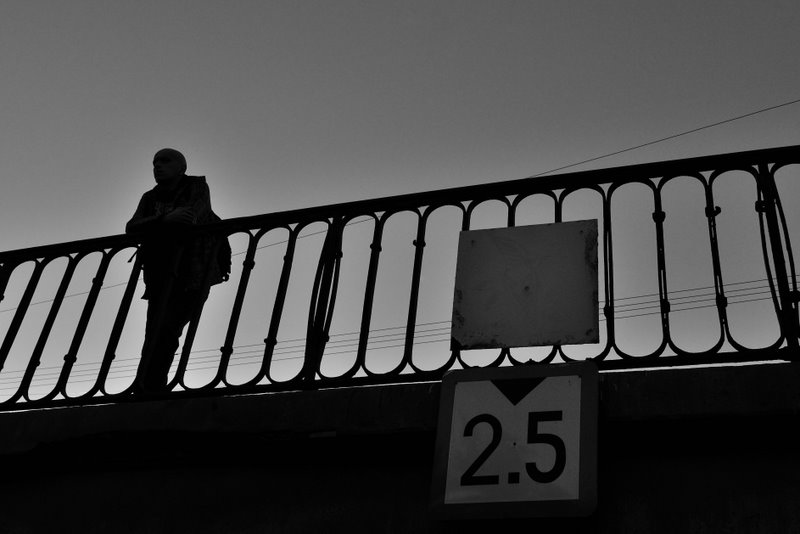 sanpietroburgo_2011_SPI_8933